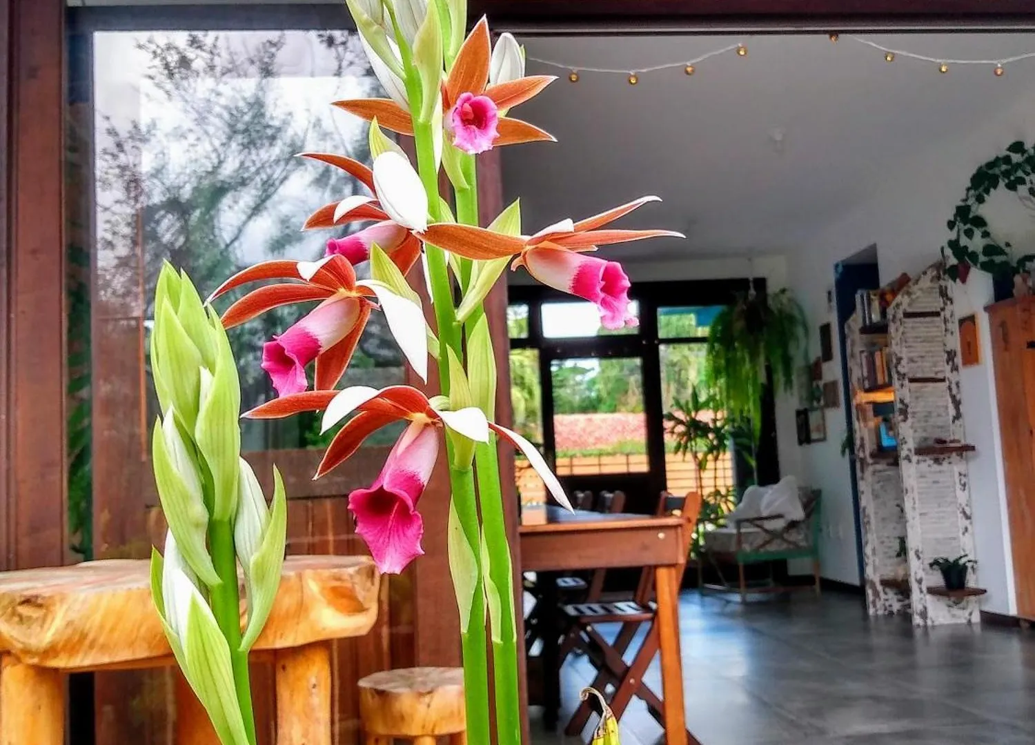 Pousada Vila Guyra Florianopolis